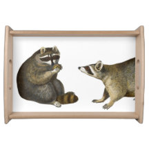 Dessin vintage "Raccoon veut que c'est Partager"
