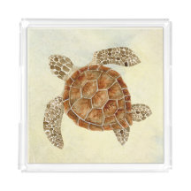  Mer Turtle Beach Sand Côte Océan