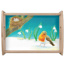 Illustration Red Robin Bird & Snowdrops