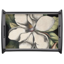 Magnolia Vintage