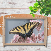 Papillon à queue de tigre Swallowtail sur Fleur sa