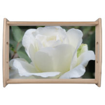 Rose Blanche
