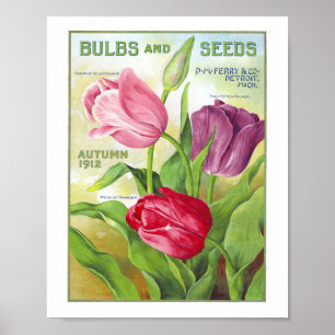 Platen en zaden 1912 poster