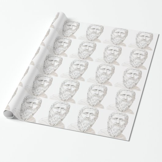 Plato Cadeaupapier (Uitgerold)