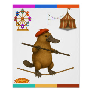 Plato vogelbekdier koorddanser perfect poster