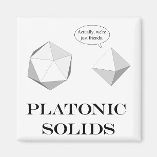 Platonische Solids magnet Magneet