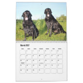 Platte-coated Retriever Calendar Kalender (Mar 2027)