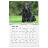 Platte-coated Retriever Calendar Kalender (Jan 2026)