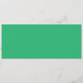 Platte Mintgroene Achtergrond – Trouwontwerp Programma (Achterkant)
