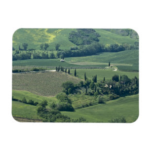Platteland bij Montepulciano, Val d'Orcia, Magneet