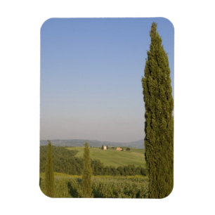 Platteland bij Pienza. Val d'Orcia, Siena Magneet
