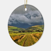 PLATTELANDSCHAAPJE WALES KERAMISCH ORNAMENT (Links)