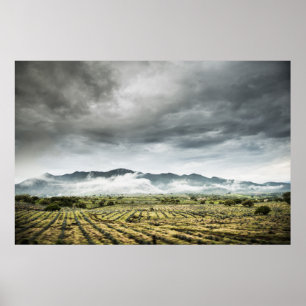Plattelandsgebieden onder het Cloudy Sky Poster