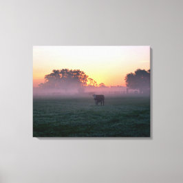 PlattelandsKoe op het 3-panelcanvas Sunrise Mist Canvas Afdruk