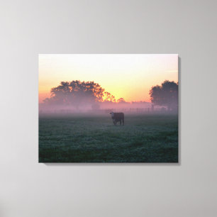 PlattelandsKoe op het 3-panelcanvas Sunrise Mist Canvas Afdruk