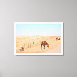 Plattelandslandschap Wilde Paarden Canvas Afdruk