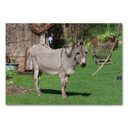 Plattelandsleven met Donkey Kaart (Voorkant)