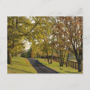 Plattelandsweg door de regio Bluegrass in Kentucky Briefkaart