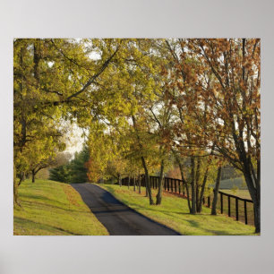 Plattelandsweg door de regio Bluegrass in Kentucky Poster
