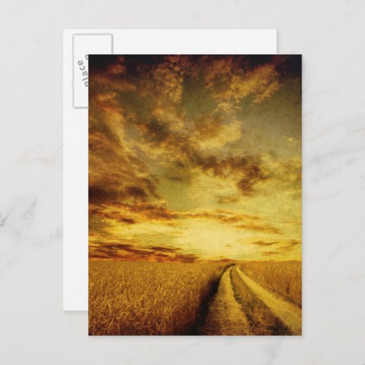 Plattelandsweg door het veld briefkaart (Voorkant / Achterkant)
