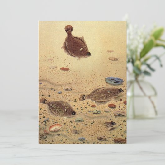  platvis Vist Kaart (Staand voorkant)