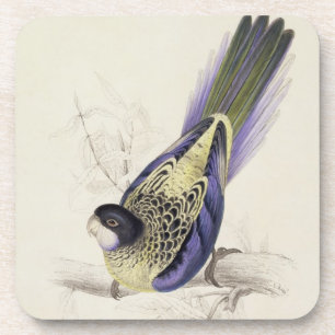 Platycercus Brownii, of bruinkeet (Bord 2) Bier Onderzetter
