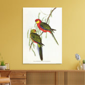 Platycercus Icterotis Canvas Afdruk (Insitu (Woonkamer))