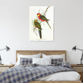 Platycercus Icterotis Canvas Afdruk (Insitu (Slaapkamer))