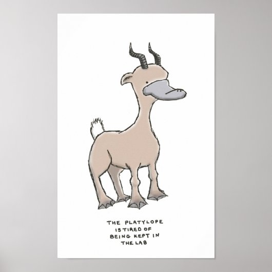 platylope trivia poster (Voorkant)