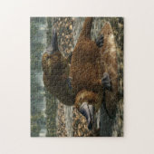 Platypes Legpuzzel (Verticaal)