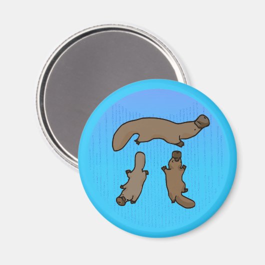 "Platypi" Drie Platypussen Grieks Pi Magneet (Voorkant / Achterkant)