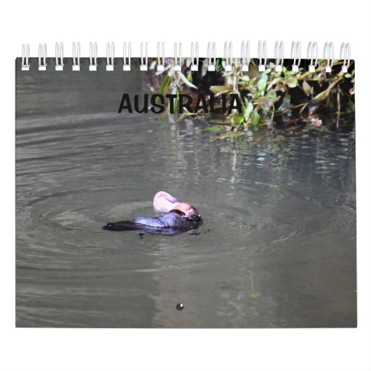 PLATYPUS AUSTRALIË KALENDER (Hoes)