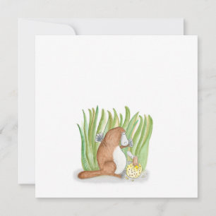 Platypus-flatkaart Kaart