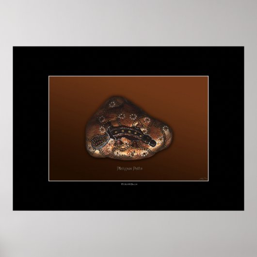 PLATYPUS PATHES Affiche d'art (Devant)