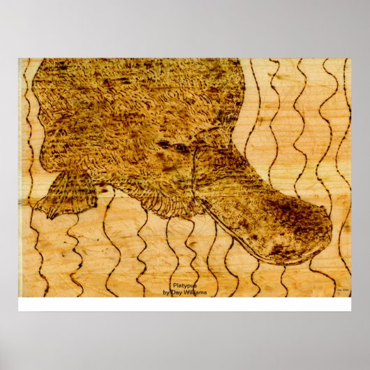 Platypus Poster (Voorkant)