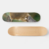 Platypus Skateboard (Horizontaal)