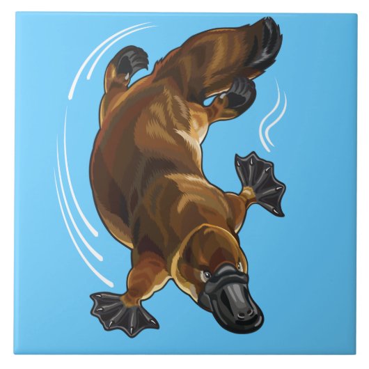 platypus tegeltje (Voorkant)