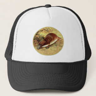 Platypus Trucker Pet