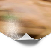 Plavialis Foto Afdruk (Hoek)