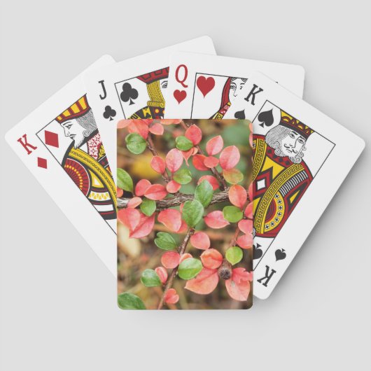 Plavialis Pokerkaarten (Achterkant)