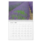 Play of colours lavender kalender (Jan 2026)