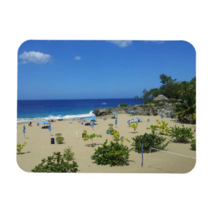 PLAYA ALCIA DE DOMINICAANSE REPUBLIEK VAN HET MAGNEET