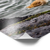 Playa Del Rey Foto Afdruk (Hoek)