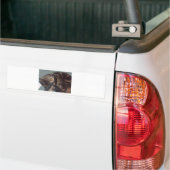 PlayDave Bumpersticker (Op Truck)