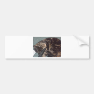 PlayDave Bumpersticker