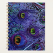 Playeur Peacock Bleu (Devant)