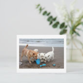 Playtime on the beach briefkaart (Staand voorkant)