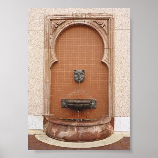 Plaza Cat Fountain Poster (Voorkant)