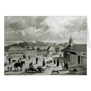 Plaza de San-Carlos de Chiloe, 1835 ]