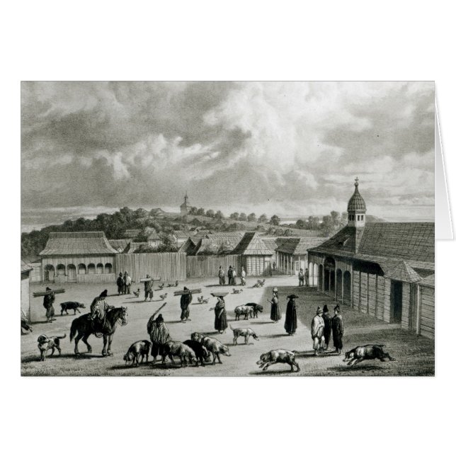 Plaza de San-Carlos de Chiloe, 1835 ] (Devant horizontal)